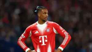Bayern Munich News: Olise ‘not feasible’ for Real Madrid this summer