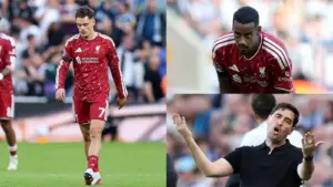 Newcastle 2-2 Liverpool highlights