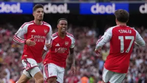 Arsenal fans dream back-to-back EPL titles - Punch Newspapers