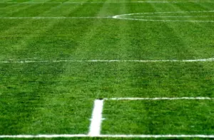 Match report: Champions League, FC Bayern v Bodø/Glimt